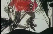 Jak działa jamniczek- totalnie psychodeliczna kultowa animacja z 1971 roku