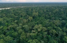 Pestycydy uwalniane do Amazonii w celu degradacji lasów deszczowych i wylesiania