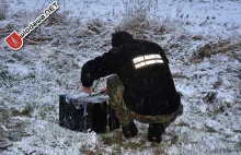 Granica: Dron z Białorusi zbombardował papierosami pole pod Sławatyczami