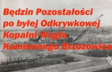 Będzin Pozostałości po byłej Odkrywkowej Kopalni Węgla Kamiennego Brzozowica