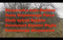 Strzyżowice koło Będzina Ruiny Wapiennego Pieca- Ślady byłych Szybów Górniczych