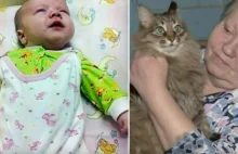 Kocica uratowała niemowlę pozostawione na mrozie.