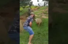 Trollowanie Owcy