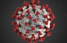 WHO: prawdopodobnym jest zbliżanie się do końca pandemii koronawirusa w Europie