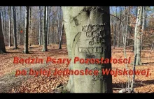 Będzin Psary Pozostałości po byłej Jednostce Wojskowej