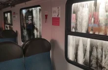 [Trójmiasto] Wykładowca wśród niszczących pociąg SKM