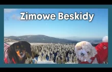Beskid Żywiecki i Trójstyk PL/CZ/SK - w poszukiwaniu zimy