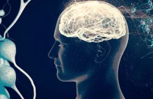 Nowe badanie sugeruje, że świadomość to pole elektromagnetyczne mózgu