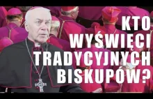 Polski biskup za tworzeniem tajnych seminariów w opozycji do papieża