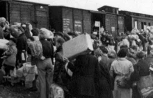 Belgijskie koleje w czasie wojny przewoziły Żydów do niemieckich obozów.