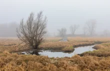 Wielka Brytania: Zmiany klimatu zagrażają archeologii