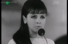 Katarzyna Sobczyk - Mały Książę