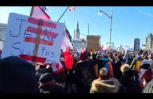 LIVE Ottawa teraz, na żywo - protesty przeciwko segregacji sanitarnej
