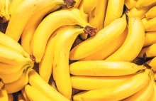 Kolumbijski koks znaleziony w bananach na Pomorzu,