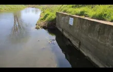 Rzeka Czarna Przemsza w Będzinie znowu zanieczyszczona