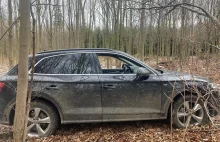 Turyście ukradziono luksusowe auto. Policja znalazła je w lesie