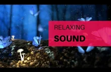 Relaxing nature sound