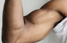 Sztuczne mięśnie z naturalnych białek. Rewolucja na rynku implantów