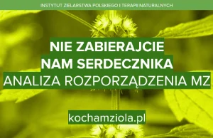 Nowe rozporządzenie MZ: ze sklepów zielarskich znikają niektóre zioła!