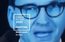Pantone ogłasza kolor roku 2022. Modraszek symbolizuje spokój i dobrobyt