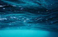 Temperatura w oceanach przekroczyła punkt bez odwrotu