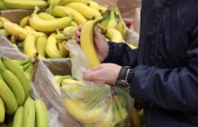 "Kokainowe banany" wykryte już w siedmiu marketach. W sumie niemal 100 kg