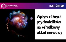 Wpływ różnych psychodelików na OUN - prof. Krystyna Gołembiowska