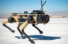Psy-roboty patrolujące granice USA w automatycznym trybie w ramach testów...