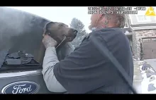 Kolorado. Policjant ratuje psa z płonącego samochodu.