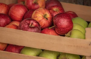 Jabłka tańsze, droższe pomelo i truskawki. Niektóre ceny mogą szokować