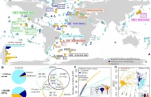 Oceaniczne dno jest wypełnione wieloma gatunkami, które nie są znane nauce