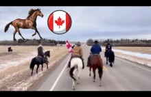 Kawaleria dołączyła do protestu w Kanadzie