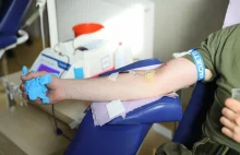 Holandia. 97 proc. dawców krwi ma przeciwciała COVID-19
