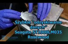 Szybkie „odzyskiwanie danych” Seagate ST1000LM035 Rosewood