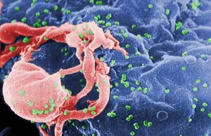 Wykryto nowy, wysoce zjadliwy wariant wirusa HIV