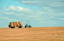 Fotowoltaika na roli. Megawaty zamiast plonów?