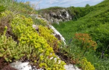 „Świętokrzyskie Bałkany” – o stepie, który rośnie nad Nidą