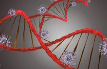 W genomie człowieka zaszyte jest nieaktywne RNA wirusów