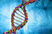 Chimeryzm genetyczny, czyli dwa różne zestawy DNA w jednej osobie