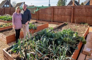Para musi uzyskać pozwolenie na grządki warzywnej w ogrodzie założone w lockdown