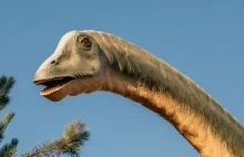 Dinozaur z kaszlem. U zwierzęcia sprzed 150 mln lat wykryto pozostałości...
