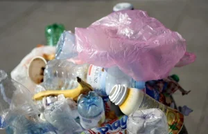 Prawie 400 procent podwyżki za wywóz śmieci dla szpitala w Nowym Sączu