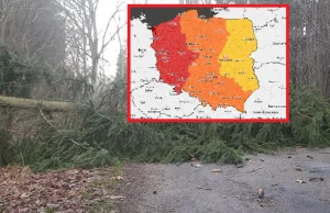 Wiatr w porywach do 120 km/h. Alerty IMGW dla całego kraju