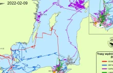Bałtyckie foki mają nadajniki GPS. W ciągu roku przepływają tysiące kilometrów.