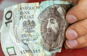 Połowa Polaków ma ujemny majątek. Jak jest w innych krajach?