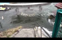Nigdy wcześniej nieopublikowane wideo z tsunami w Japonii z 2011 roku.