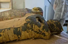 Pierwsza znana egipska mumia ciężarnej znajduje się w Warszawie
