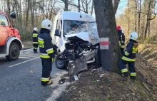 Bus uderzył w drzewo. Kierowca był uwięziony w pojeździe