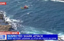 Sydney: 4,5-metrowy rekin zagryzł pływaka.