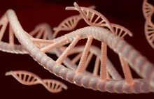 Genetycznie zmodyfikowany układ odpornościowy ludzi niszczy raka na dobre